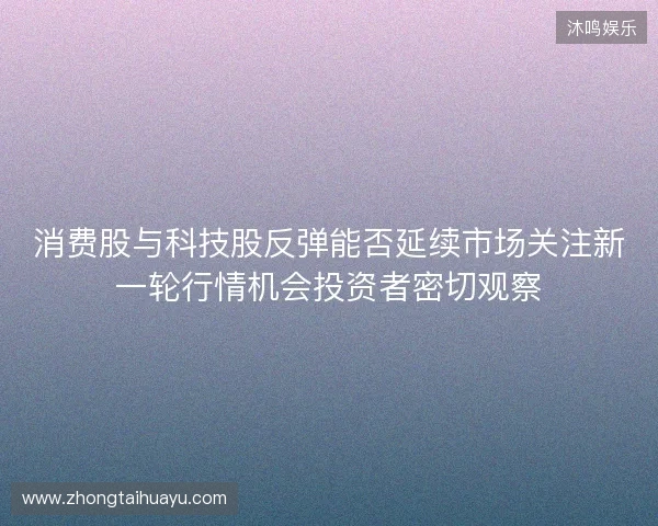 消费股与科技股反弹能否延续市场关注新一轮行情机会投资者密切观察 消费股与科技股反弹能否延续市场关注新一轮行情机会投资者密切观察